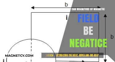 Can Magnetic Field Magnitude Be Negative? Exploring the Physics