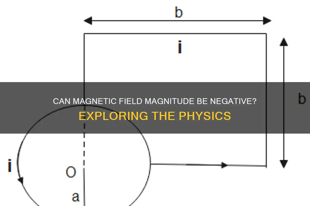 can magnitude of magnetic field be negatice
