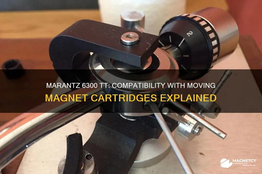 can marantz 6300 tt use moving magnet needle
