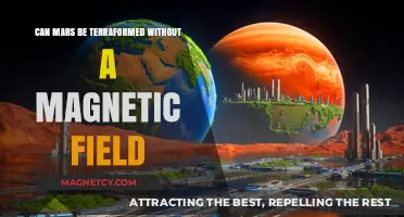 Terraforming Mars: Challenges Without a Magnetic Field Explained