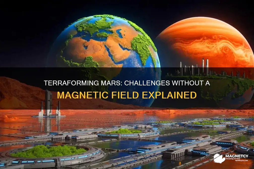 can mars be terraformed without a magnetic field