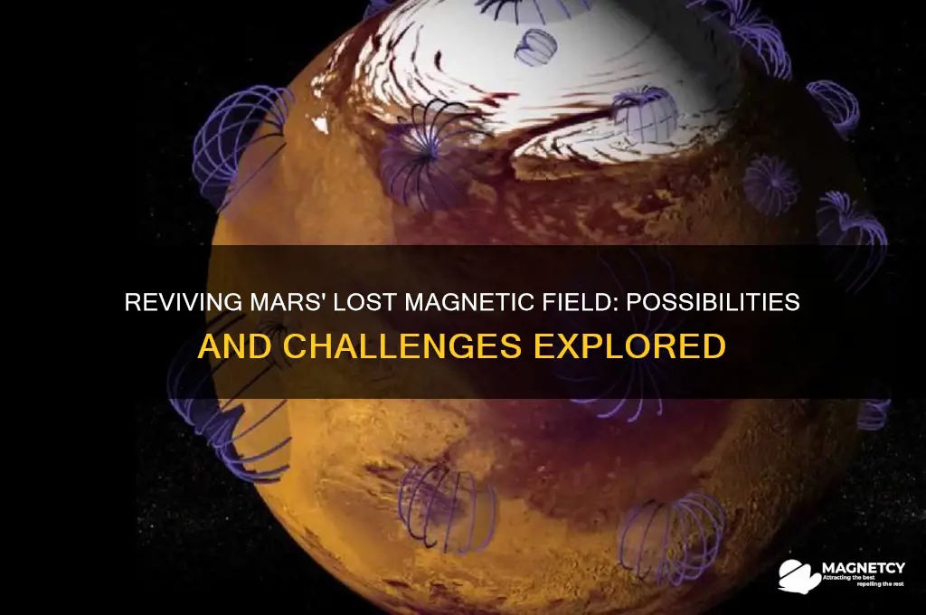 can mars get a magnetic field
