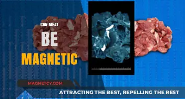 Can Meat Be Magnetic? Unraveling the Science Behind the Myth