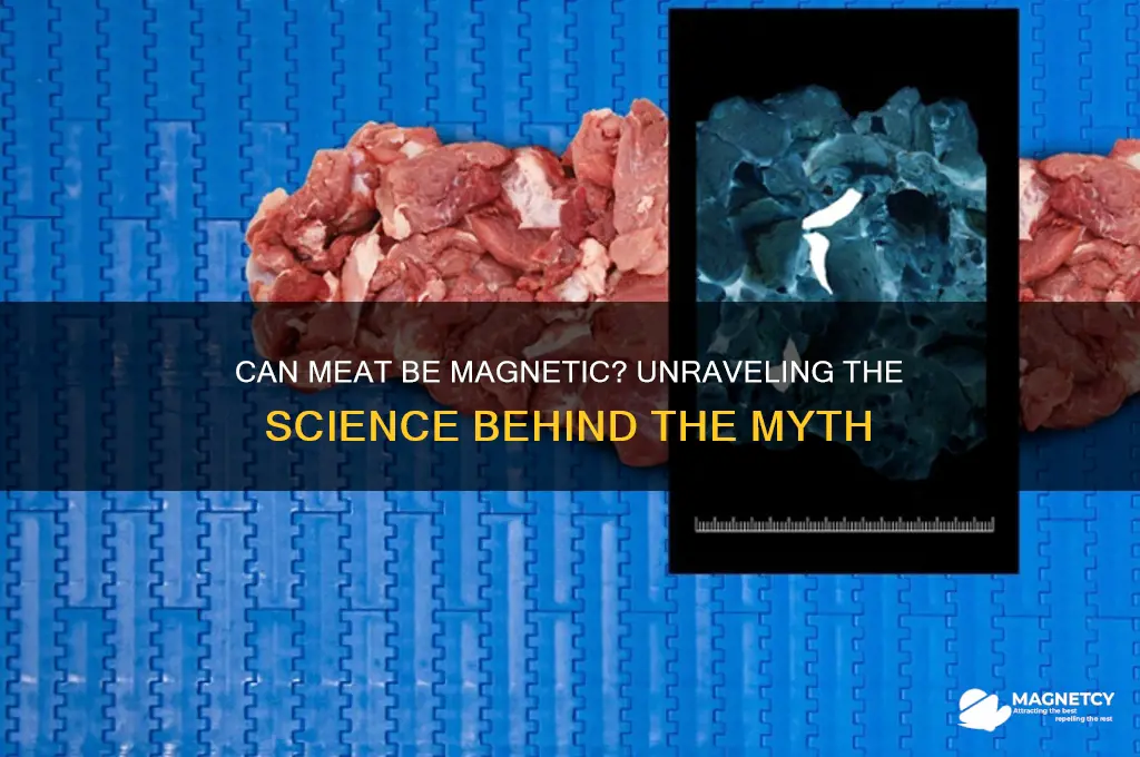 can meat be magnetic