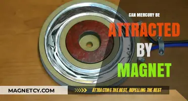 Is Mercury Magnetic? Exploring Magnetism in Liquid Metal Elements