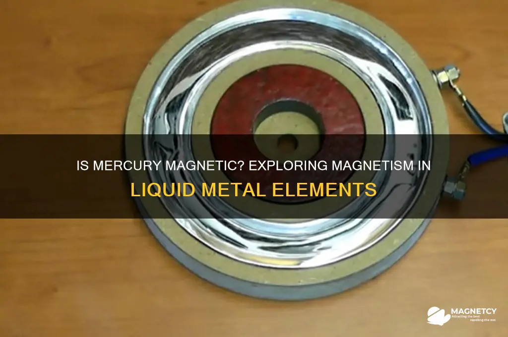 can mercury be attracted by magnet