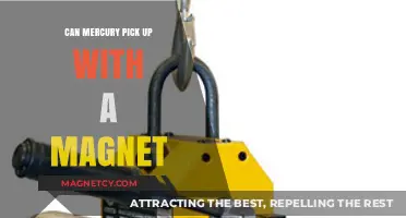 Can Mercury Be Lifted with a Magnet? Unveiling the Science Behind It