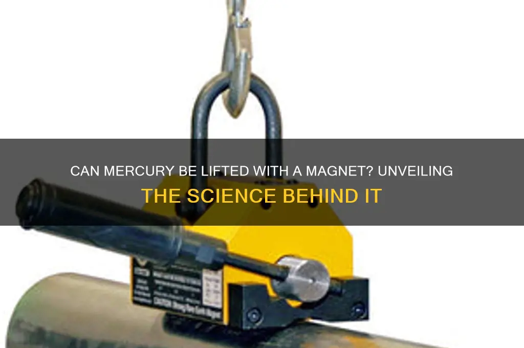 can mercury pick up with a magnet