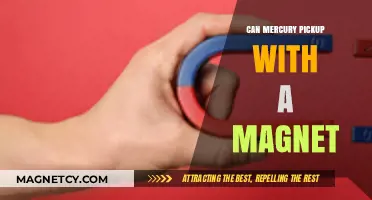 Can Mercury Be Picked Up with a Magnet? Unveiling the Truth