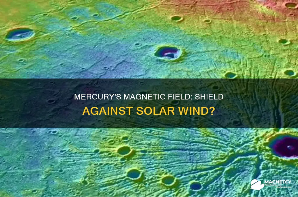 can mercury