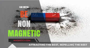 Can Metal Be Non-Magnetic? Exploring Magnetic Properties of Metals