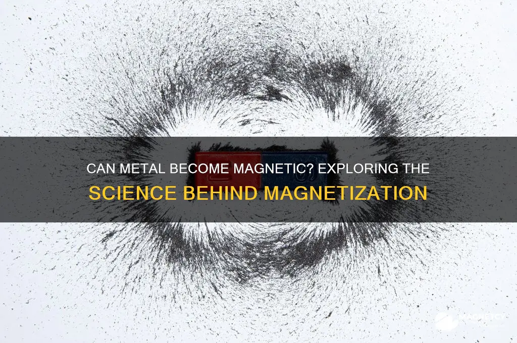 can metal become magnetic