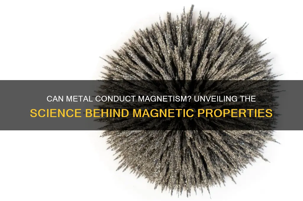 can metal conduct magnetism