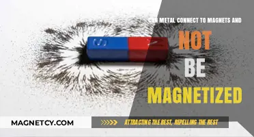 Can Certain Metals Attract Magnets Without Becoming Magnetized?