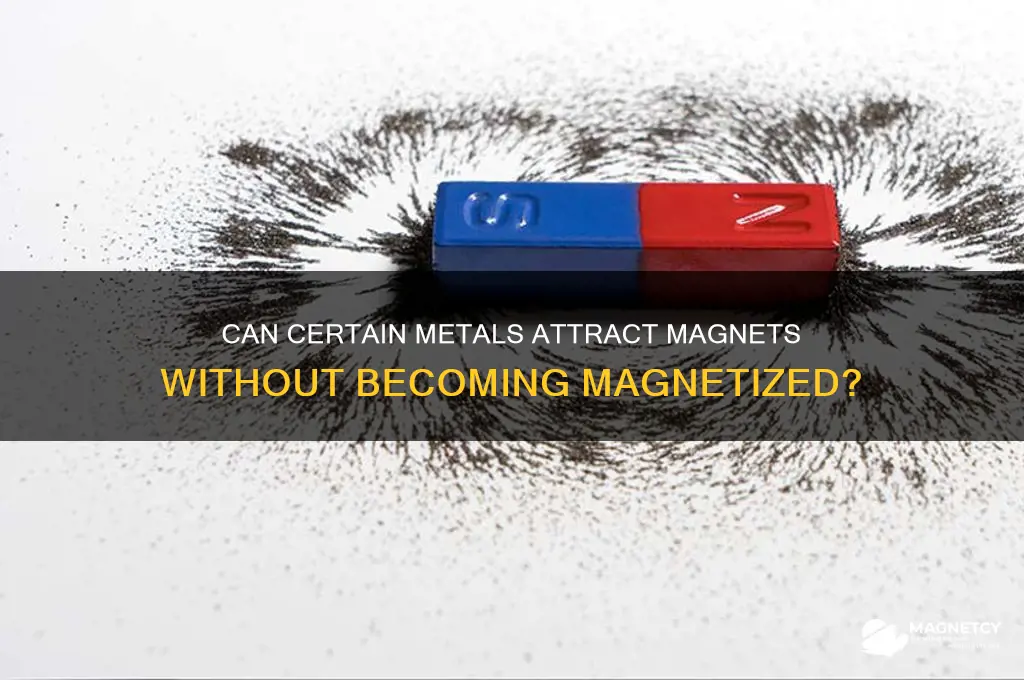 can metal connect to magnets and not be magnetized