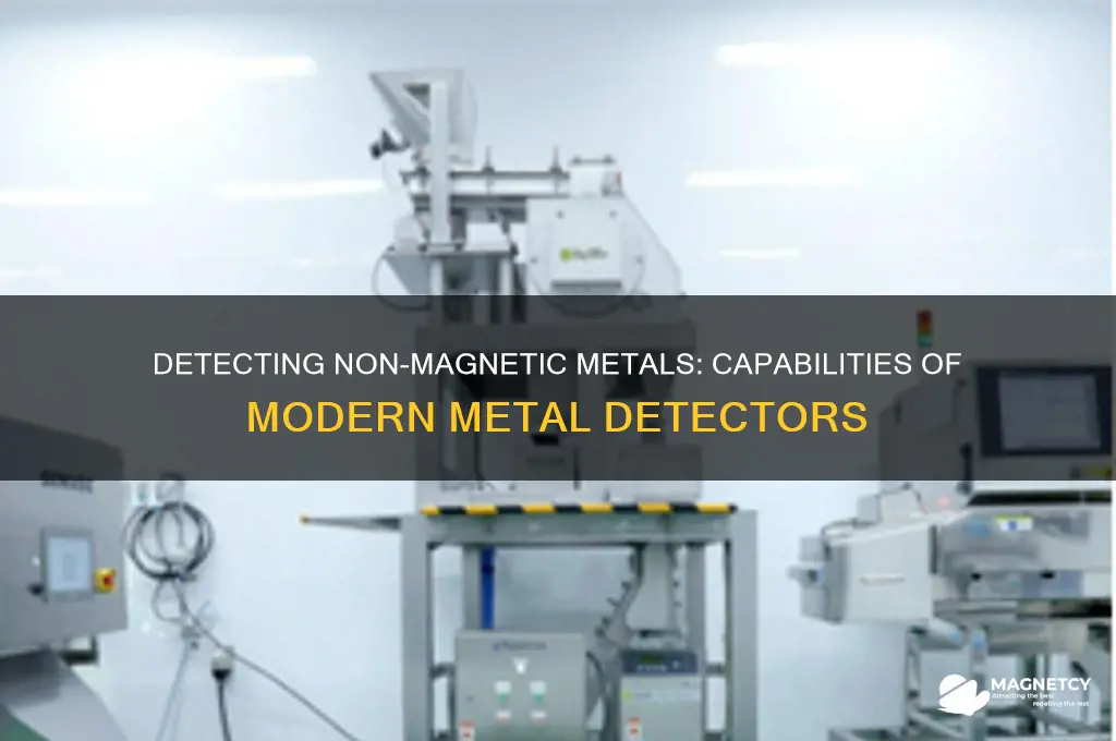 can metal detector detect non magnetic metals site edu