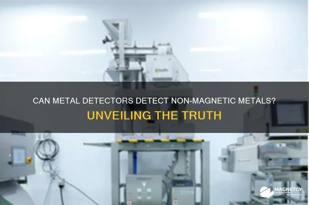 can metal detectors detect non magnetic metals