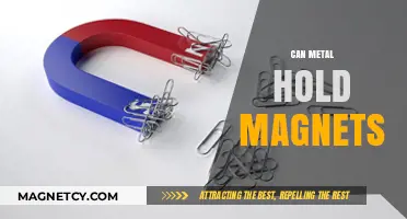 Can Metal Hold Magnets? Exploring Magnetic Properties of Different Metals