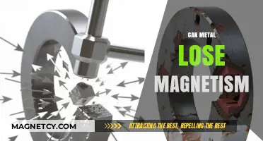Can Metal Lose Magnetism? Exploring Demagnetization and Its Causes