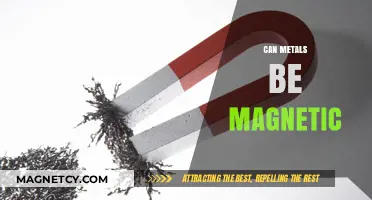 Exploring Magnetic Metals: Which Ones Attract and Why They Do