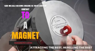 Can Prolonged Magnet Exposure Induce Magnetism in Non-Magnetic Metals?