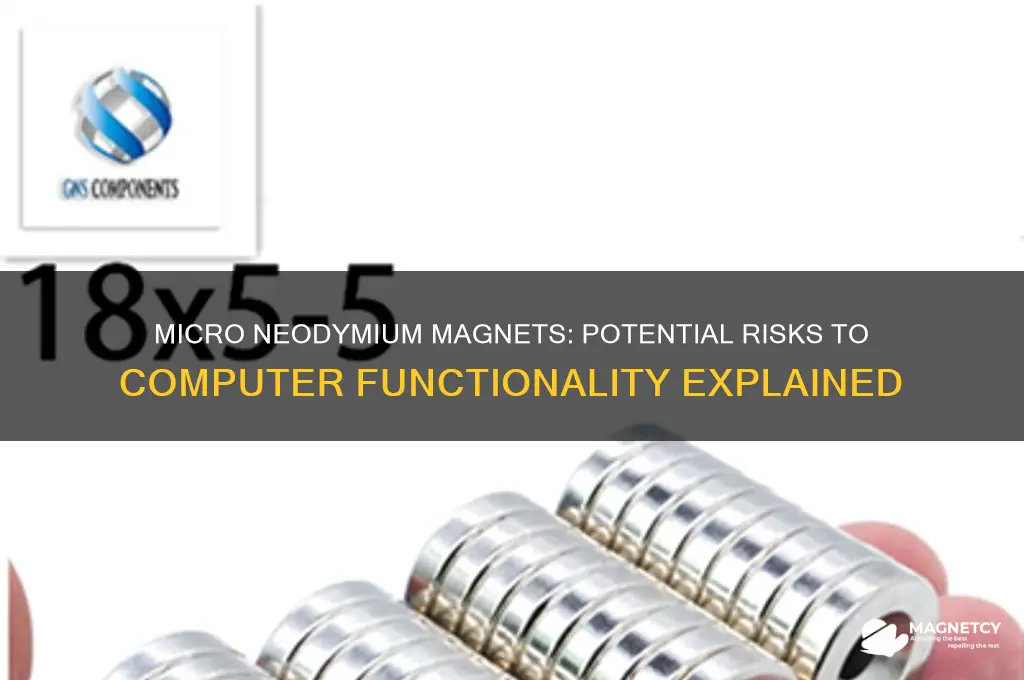 can micro neodymium magnets affect computers