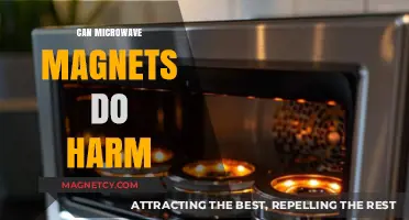 Microwave Magnets: Uncovering Potential Harm and Safety Concerns