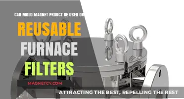 Can Mold Magnet Products Safely Clean Reusable Furnace Filters?