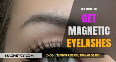 Monolids and Magnetic Lashes: A Match Made in Beauty Heaven?