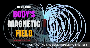 Can MRI Scans Alter Your Body's Natural Magnetic Field?