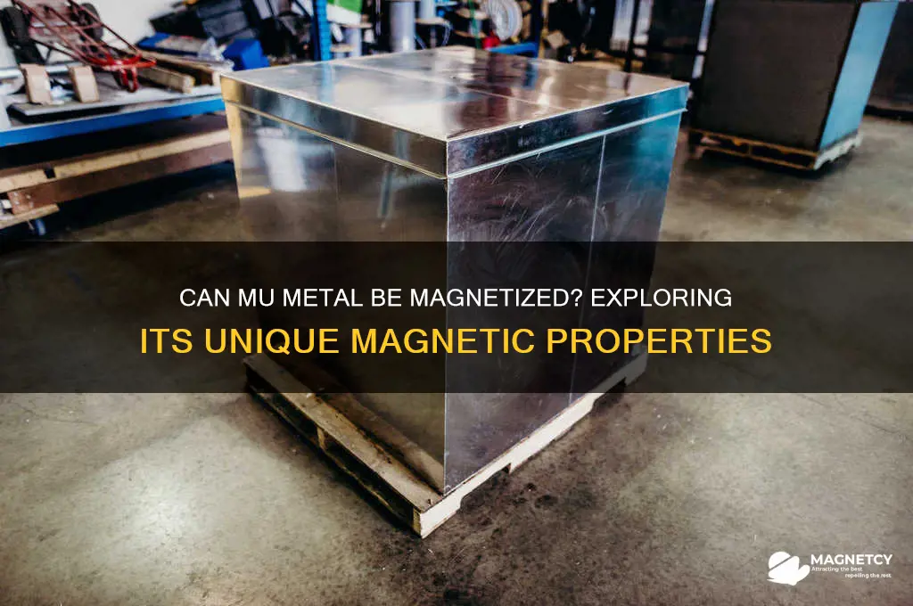can mu metal be magnetized