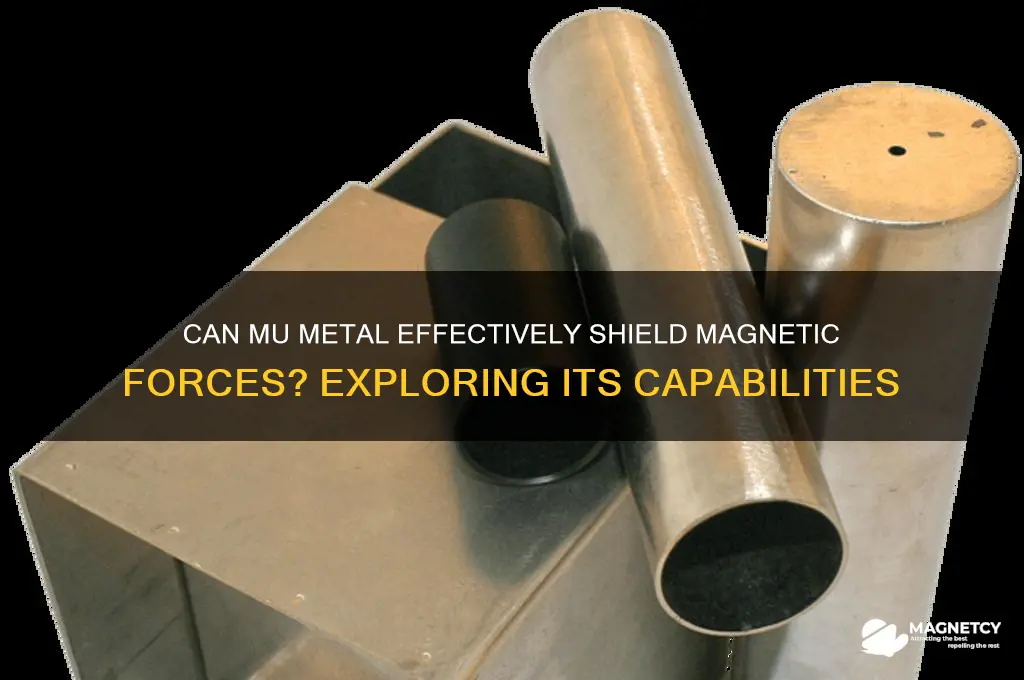 can mu metal shield a magnetic force