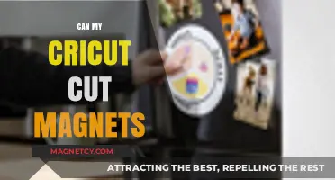 Can Your Cricut Cut Magnets? A Crafty Guide to Magnetic Projects