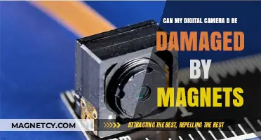 Can Magnets Harm Your Digital Camera? Facts and Myths Explained