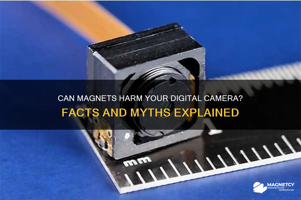 can my digital camera d be damaged by magnets