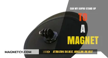 Can a Magnet Damage Your GoPro? Find Out Here!