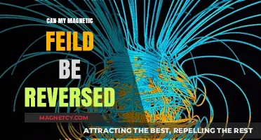 Reversing Your Magnetic Field: Possibility, Process, and Potential Effects