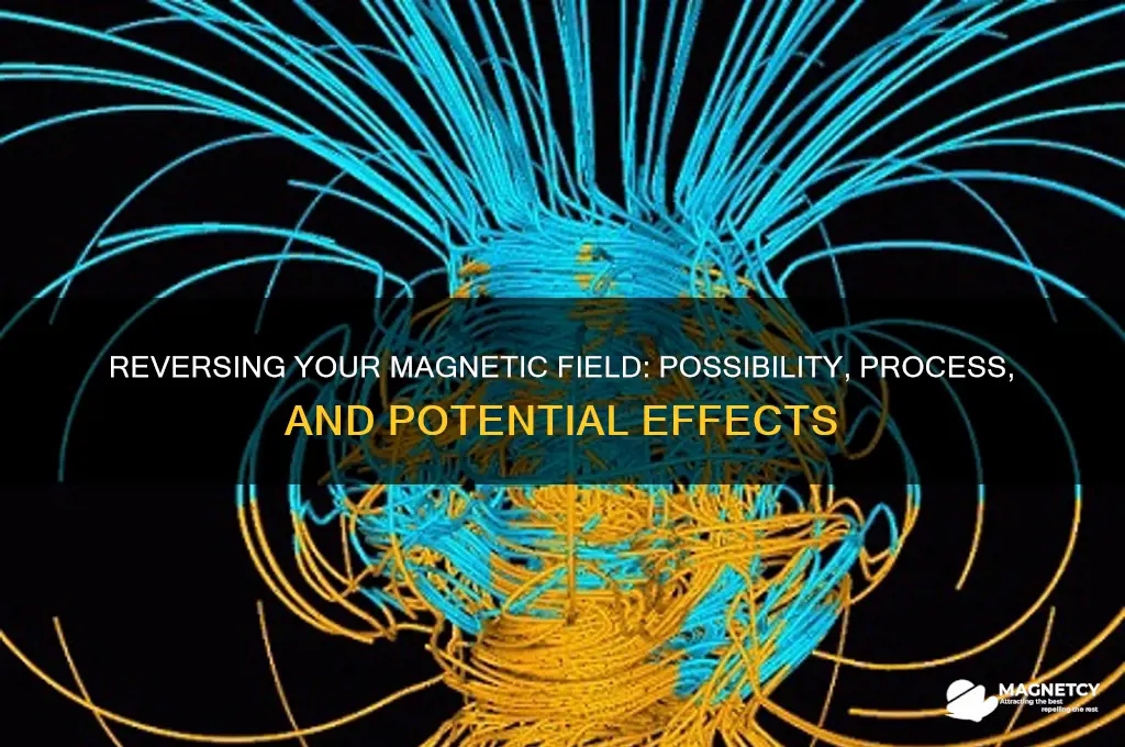 can my magnetic feild be reversed