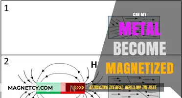 Can Your Metal Become Magnetized? Understanding Magnetic Properties and Factors
