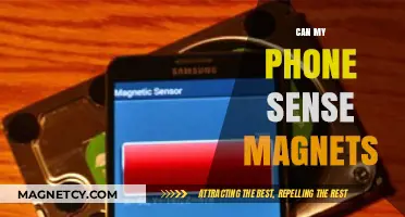Can Your Phone Detect Magnets? Exploring Magnetic Sensors in Smartphones