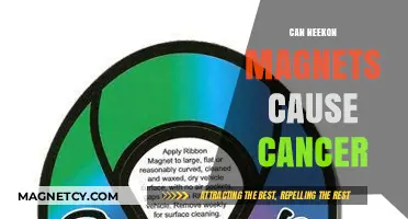 Neekon Magnets and Cancer: Separating Fact from Fiction
