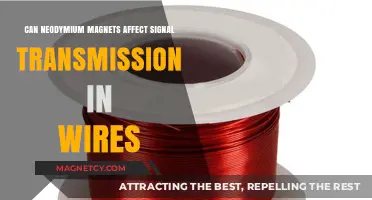 Neodymium Magnets: Do They Disrupt Signal Transmission in Wires?