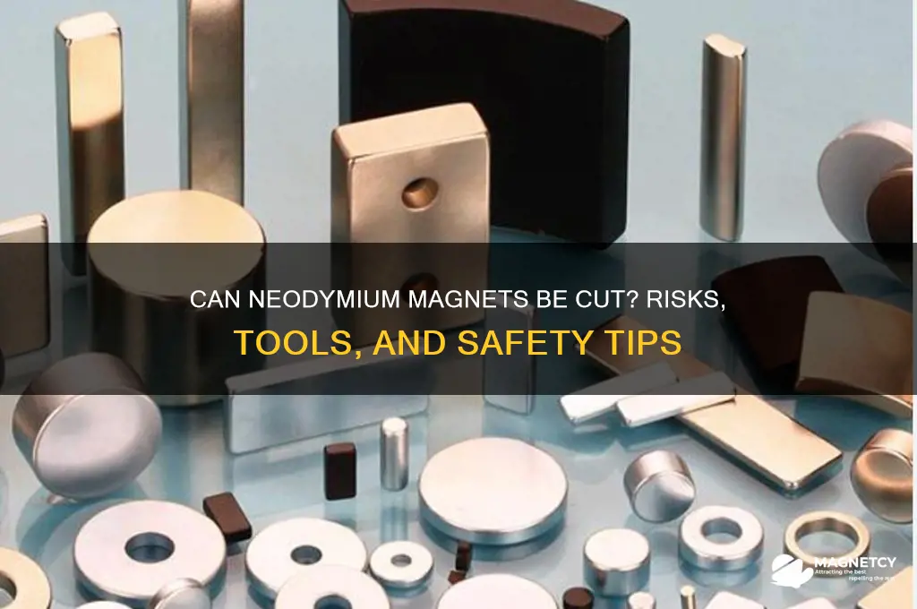 can neodymium magnets be cut