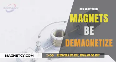 Can Neodymium Magnets Lose Their Magnetism? Demagnetization Explained