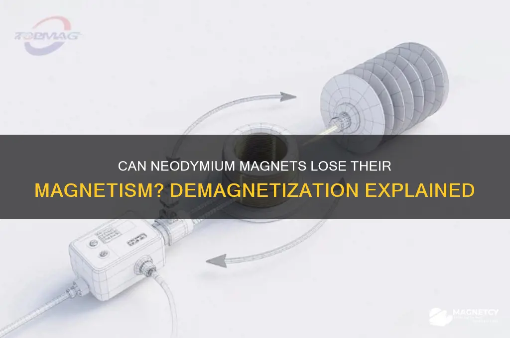 can neodymium magnets be demagnetized