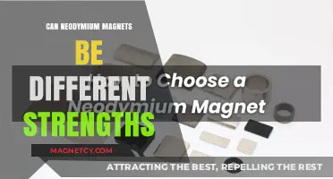 Exploring Neodymium Magnets: Understanding Varying Strengths and Applications