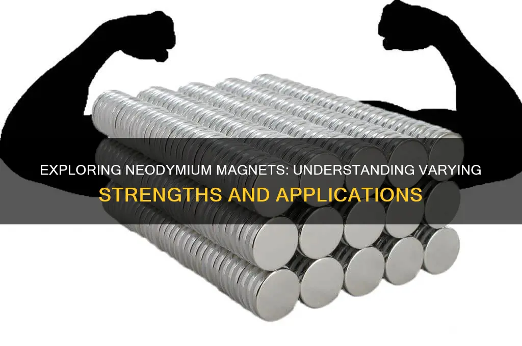 can neodymium magnets be different strengths