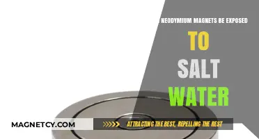 Neodymium Magnets and Salt Water: Compatibility and Corrosion Risks