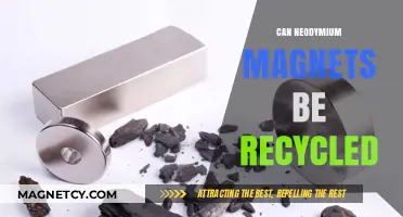 Recycling Neodymium Magnets: Sustainable Practices and Environmental Impact