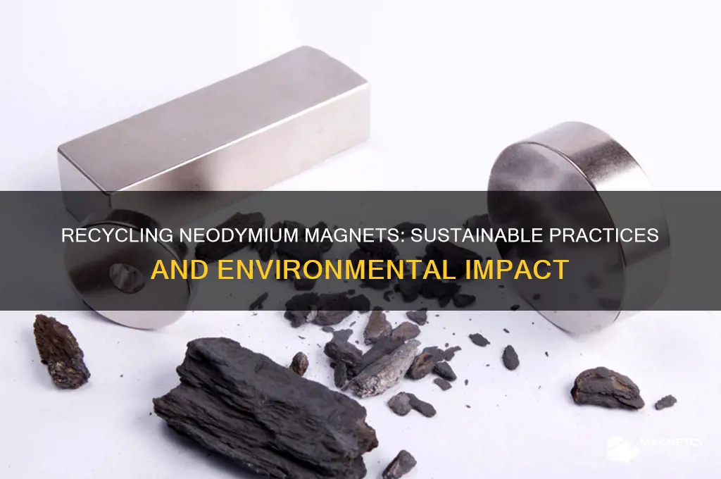 can neodymium magnets be recycled